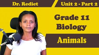 Grade 11 Biology Unit 2 Animals Part 2  Dr Rediet [upl. by Medora]