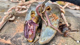 Hoof Cleaning Restoration  Farrier Satisfying complication  Cleaning Cows Nails [upl. by Gelman]