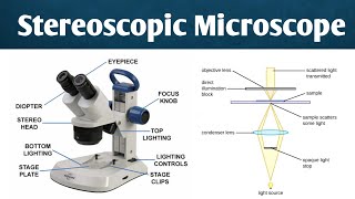 Seteroscopic microscope  instrumentation History amp working  forensic science [upl. by Hsuk]