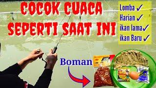 TERBUKTI GACOR UMPAN SUTEL PELANGI SUPER AMIS DI CUACA SEPERTI SEKARANG LOMBA HARIAN OKUMPAN GACOR [upl. by Campos]