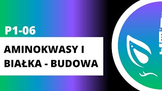 P106 Aminokwasy i białka  budowa [upl. by Ahseyi]