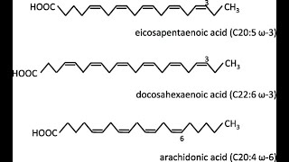 structures of Polyunsaturated Fatty acid Linoleic Alphalinolenic Eicosapentaenoic Docosahexaenoic [upl. by Ecnarrot977]