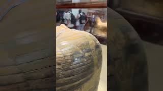 Museum of Cairo Egypt 🇪🇬 Don’t forget to subscribe Thanks [upl. by Jacquette]