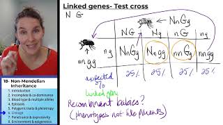 NonMendelian Inheritance 6 Linkage [upl. by Gray]