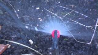 Micro sprayer 180 degree Garden irrigation [upl. by Silsby403]