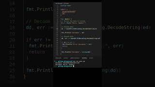 Base64 Encoding Converting Binary to Text in Golang [upl. by Yt]