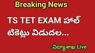 TS TET exam full details 2024  how to download TS TET exam hall tickets 2024 [upl. by Ellwood]