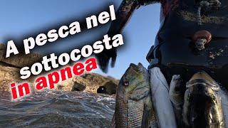 A PESCA nel SOTTOCOSTA in APNEA  Michele Giurgola [upl. by Ianahs]