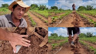 arador de terra manual feito com picareta faça o seu aradomanual [upl. by Weldon]