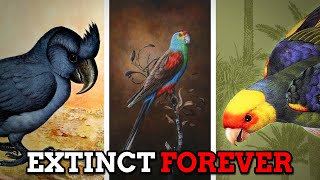 Six Magnificent Parrot Species that Became Extinct Forever [upl. by Ekim]