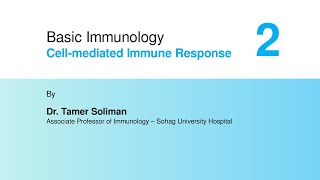 Basic Immunology  Cellmediated Immune Response Part 2 [upl. by Munniks307]