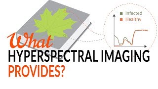 What Hyperspectral Imaging provides  Tutorial [upl. by Eednim]