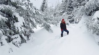 Schneeschuhwanderung auf die Hornisgrinde Nordschwarzwald am 091217 [upl. by Ezalb]