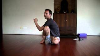 Paul Dallaghan Explains and Demonstrates Marichyasana D [upl. by Daphie932]