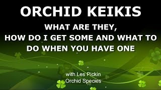 ORCHID KEIKIS  WHAT ARE THEY HOW TO GET ONE AND WHAT TO DO WITH IT [upl. by Noived575]