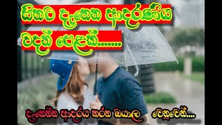 සිතට දැනෙන ආදරණිය වදන්  Sinhala Nisadas ආදර වදන් Adara wadanආදර සිහිනlove quotes sinhala [upl. by Kosey452]