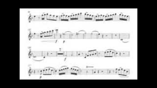 Haydn Trumpet Solo Concerto I Allegro Accompaniment Play Along [upl. by Griggs650]