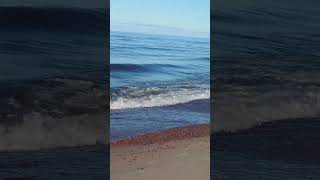 Sea Saulkrasti latvia shortsvideo shorts sea beatiful [upl. by Mccullough]