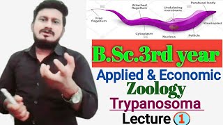 Trypanosoma  General Character and Classification of Trypanosoma  sleeping sickness Trypanosoma [upl. by Rourke]