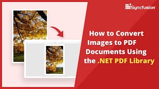 NET PDF Library Converting Images to a PDF Document [upl. by Chilson]