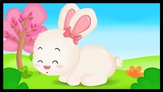 Hop Lapin  Comptine pour bébés  Titounis [upl. by Ahsetan950]