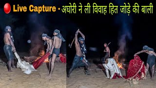 Jai Shree Mahakal🙏shorts shortvideo short mahakal mahadev viral trendingshort [upl. by Eads]