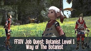 FFXIV Botanist BTN Job Quest Level 1  Way Of The Botanist [upl. by Mayor]