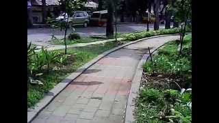 Quadcopter Lian Sheng LS115 Onboard Camera 30FPS Flight Test Outdoor Sunny Morning [upl. by Yanal988]