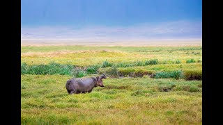 Y si el Valle del Rif no fuera la cuna de la humanidad [upl. by Ayocat]