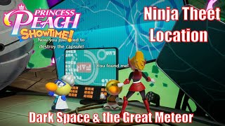 Dark Space amp the Great Meteor  Hide and Seek  Ninja Theet Location guide [upl. by Nohtahoj]