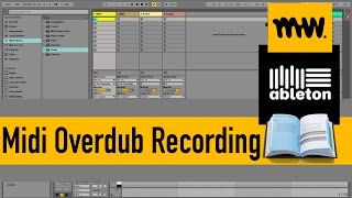 Midi Overdub  Everything you need to know  Session View Edition  26 [upl. by Tori440]