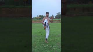 quotDOUBLE THE POWER  Front Kick amp Push Kick Tutorial for Martial Arts amp Self Defense [upl. by Davies744]