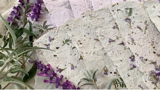 How to Make Paper DIY Plantable Seed Paper [upl. by Isadore]