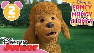 Fancy Nancy Clancy  Bli kjent med Frenchy 🐶 Disney Junior Norge [upl. by Landahl]