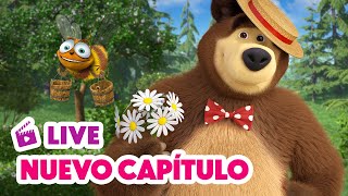 🔴 LIVE 🐻👧 Masha y el Oso 💥 NUEVO CAPÍTULO 🍯🐝 Día de Miel 🎬 Masha and the Bear [upl. by Tate]