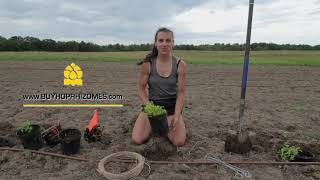 Planting and Stringing Hop Plants [upl. by Dnalyk437]