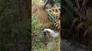 John Deere harvesting reels trending farming folksong harvester harvesting [upl. by Romola]