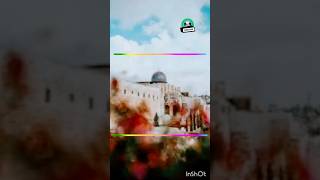 Palestinian Nasheed muhammadﷺ shortsfeed bestverses thequranicverses [upl. by Magan375]