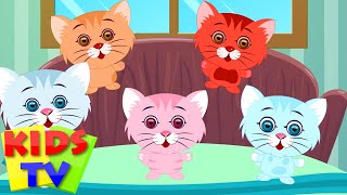 Five Little Kittens  English nursery rhymes for children  baby songs  Kids Tv Nursery Rhymes [upl. by Acimot]