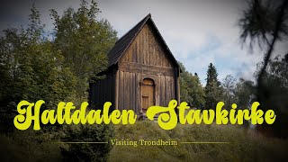 Visiting Trondheim to see a Stave Church  Haltdalen Stavkirke amp Nidaros [upl. by Niai684]