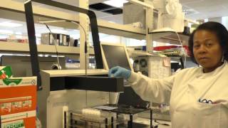 Testing antinuclear antibodies ANA – Francisca Hodge and Hazel Hinds [upl. by Zipporah]