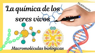 MACROMOLÉCULAS La química de los seres vivos [upl. by Helge]