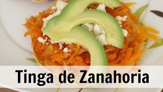 TINGA DE ZANAHORIA  ALE DE NAVA [upl. by Lleinad538]