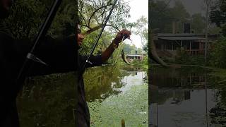 Fishing in pond fishing hookfishing [upl. by Carlo]