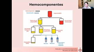 2 Hemocomponentes e hemoderivados [upl. by Oluap821]