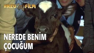 Hababam Sınıfı Uyanıyor  Nerede Benim Çocuğum [upl. by Elana]