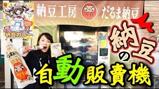 尋找唯一的納豆自動販賣機～沒想到有賣巧克力納豆 【日本販賣機】 [upl. by Suivatna448]