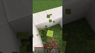 how to bake a sponge in minecraft [upl. by Liamsi749]