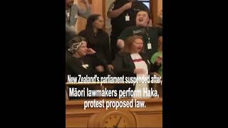 New ZealandMPs perform Maori Haka to protest against a controversial bill [upl. by Ecirtnom]