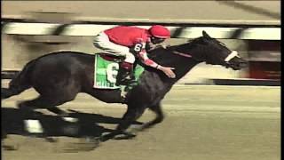 Kelly Kip  1999 Bold Ruler G3 [upl. by Colville286]